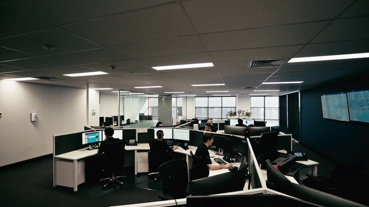 Team working at JEM office